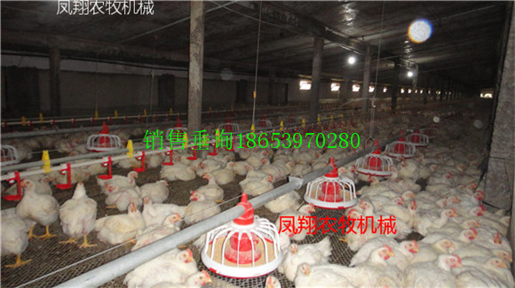 豸ʡǮ