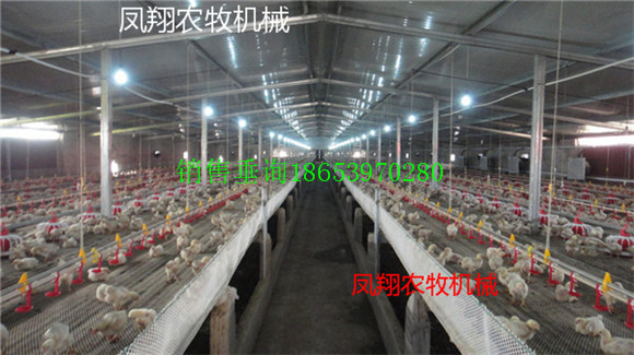 ʹ豸ʲô洦
