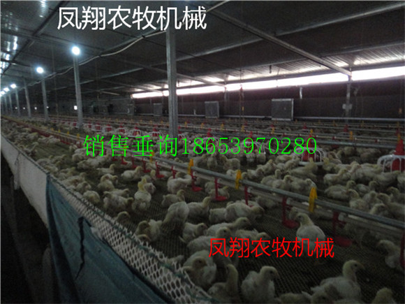 豸ҷ豸Եֳİ