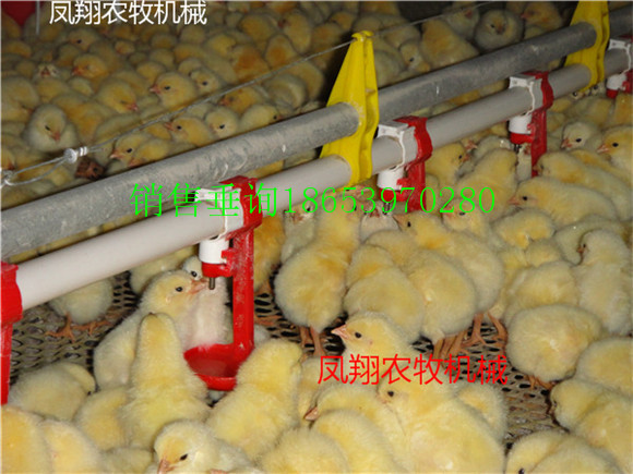 豸 Ѽ豸 豸 Ѽ豸