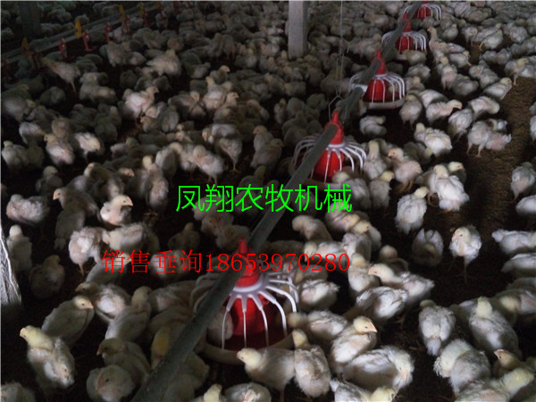 мɳĺô