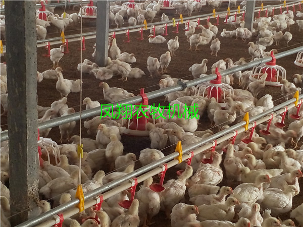 ҶֳѼĲݶЩ