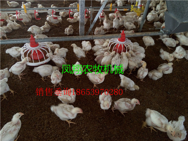 豸