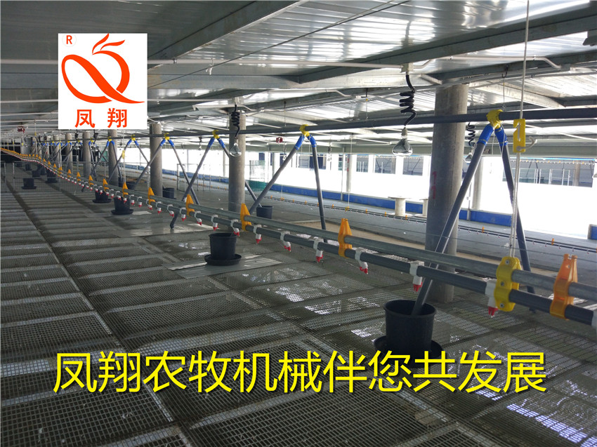 Ѽ豸 豸 
