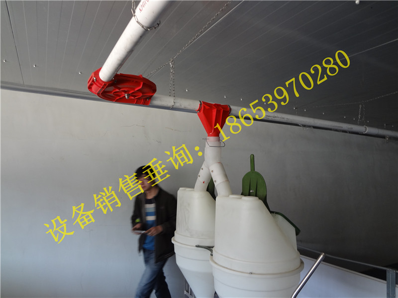 豸