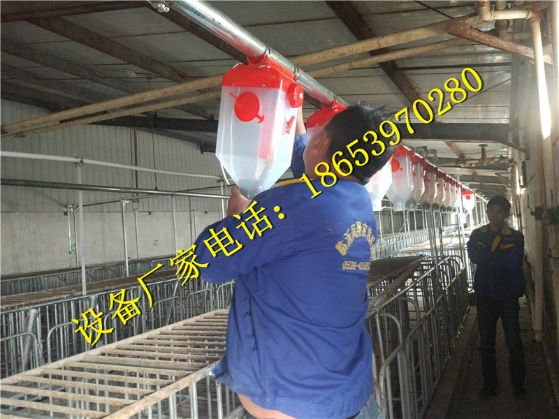 豸