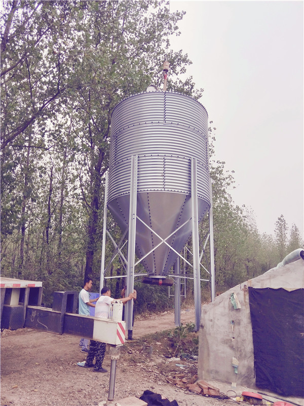 ۶п_豸__Զֳ