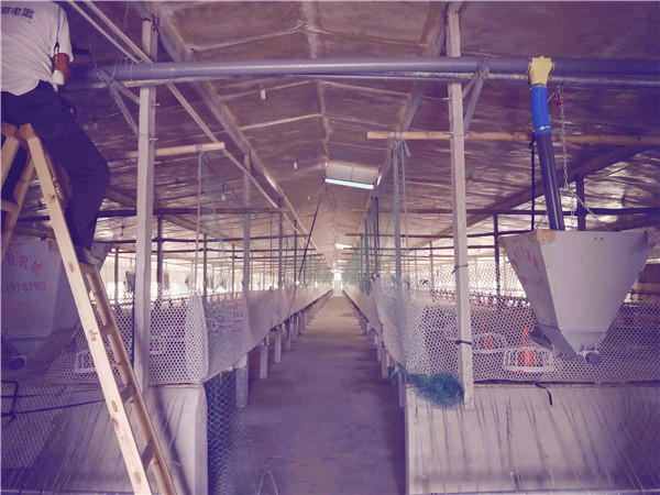 ⼦Զιϻ|Զֳ豸|ˮ|Ѽ豸|豸