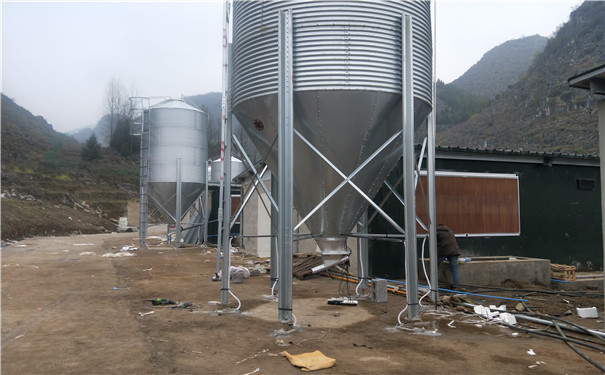 自动化养殖设备养猪料线镀锌料塔